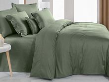   sarev monochrome v6/smgreen    - 