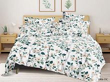   cl home dreams color ch31/006-dc     