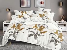   cleo art color 41/171-ac     