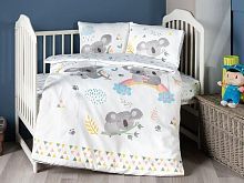  first choice koala  