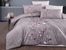   karven hardy violet 1,5      