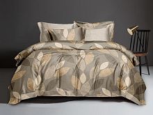   dream fly tango df02-523-70     