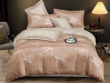   dream fly tango df02-516-70     