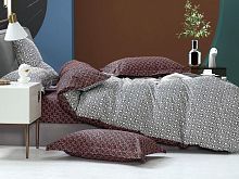   tango ts02-x255-50     