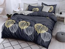   dream fly tango 1,5  df01-520    