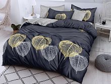   dream fly tango df02-520-50     