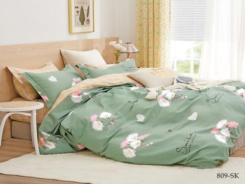   Cleo 31/809-SK  4    31/809-SK