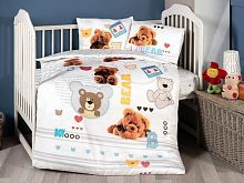  first choice bear  