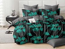   dream fly tango df02-522-50     